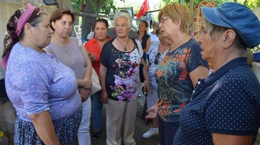 Chp Bodrum&rsquo;un Kadınları Destek İ&ccedil;in Yollarda