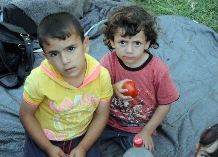 Mültecilerin Cami Avlusunda Yaşam Mücadelesi G4