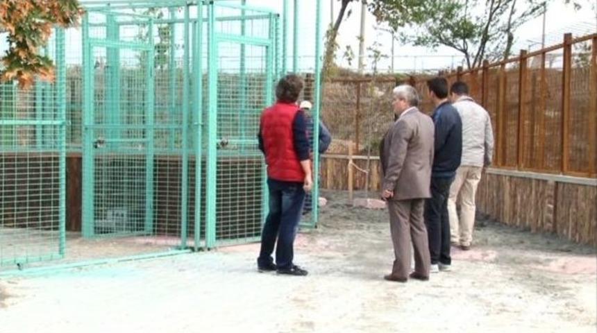 (&ouml;zel Haber) Karacabey&rsquo;e Modern Hayvan Barınağı