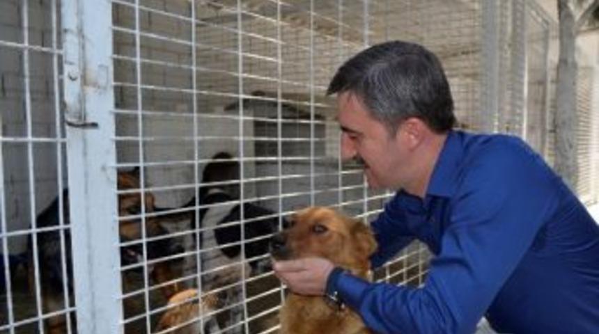 Başkan Şirin, &ldquo;onların En &Ccedil;ok Da Sevgimize İhtiyacı Var&rdquo;