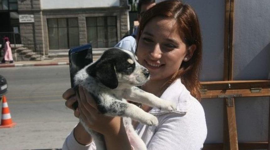 Afyonkarahisar&rsquo;da 4 Ekim &ldquo;d&uuml;nya Hayvan Hakları G&uuml;n&uuml;&rdquo; Etkinlikleri