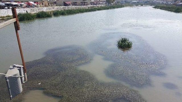 Alaplı Halkı Dere Islah Çalışmalarının Devamını İstiyor