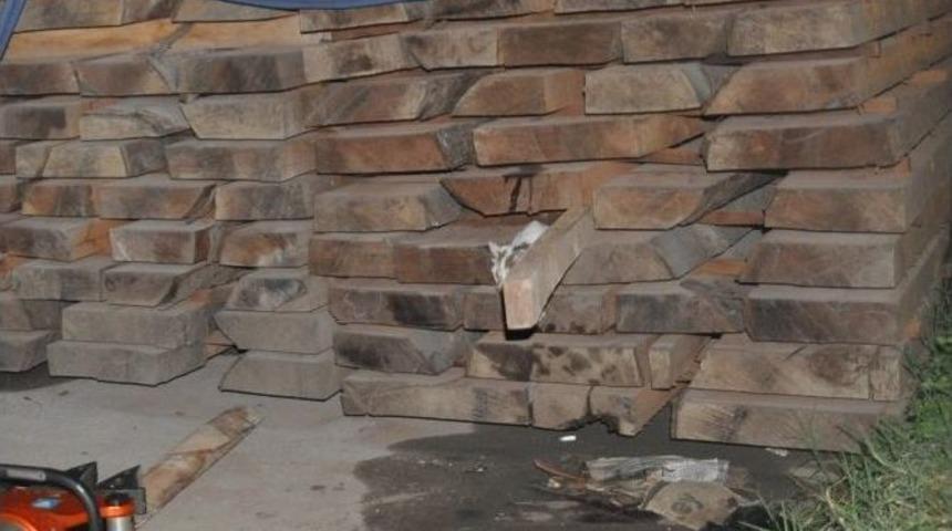 Gece Yarısı Kedi Kurtarma Operasyonu