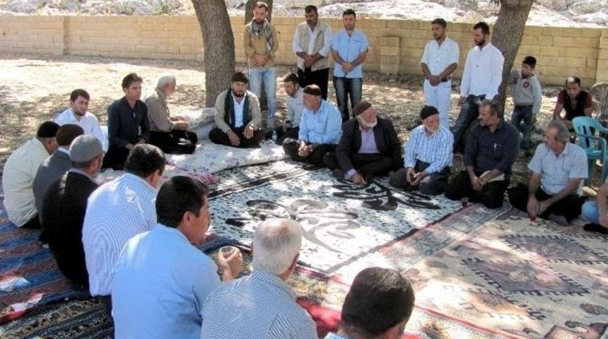 Tarihi Meşe Ağa&ccedil;ları Korunmayı Bekliyor