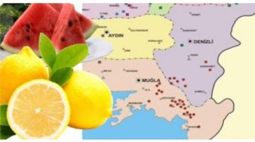 Aydın&rsquo;da Eyl&uuml;l Ayının Zam Şampiyonu Karpuz Oldu