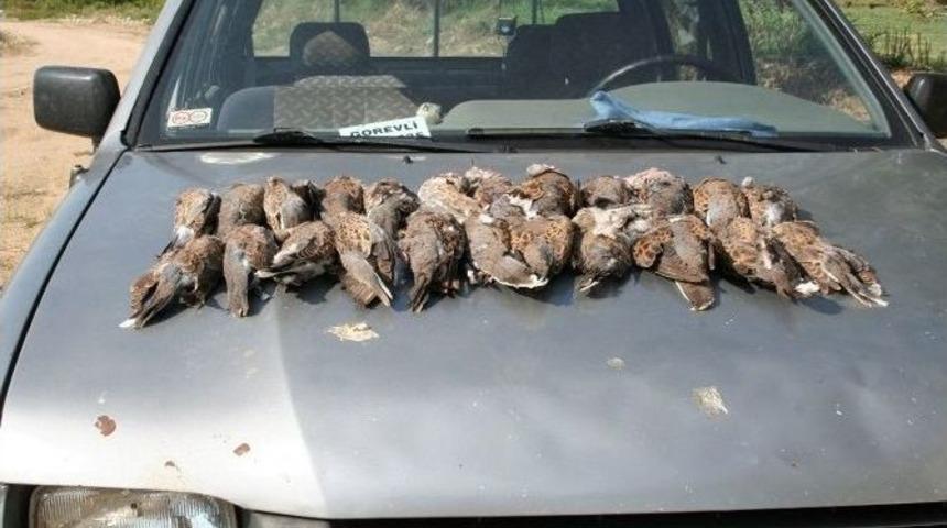 Ka&ccedil;ak Avcılara Ceza Yağdı