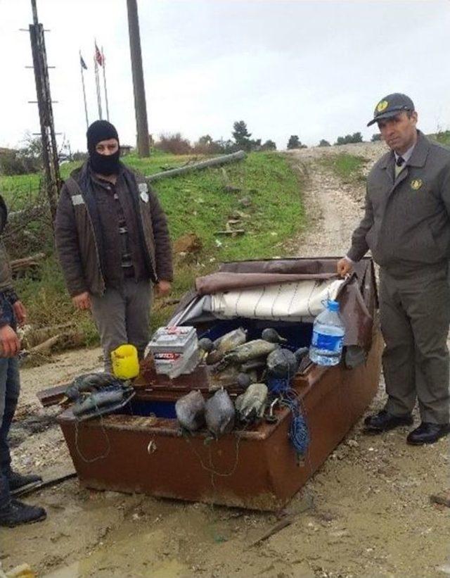 Kaçak Avcılara Ceza Yağdı