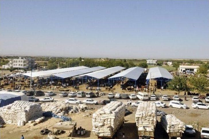 Belediye Başkanı Yılmaz, Hayvan Pazarı Esnafını Ziyaret Etti G5