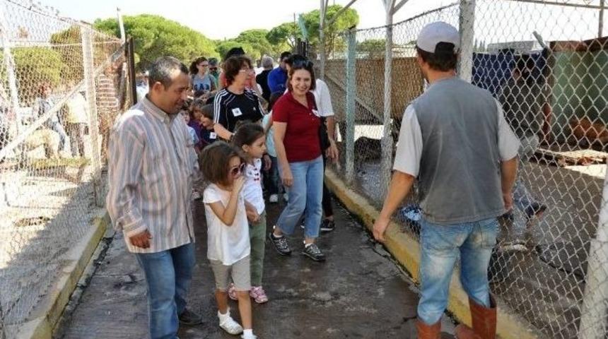 Mamasını Alan Barınağa Koştu