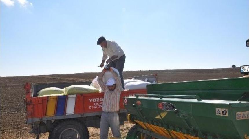 Sorgun&rsquo;da Hububat Ekimi Başladı