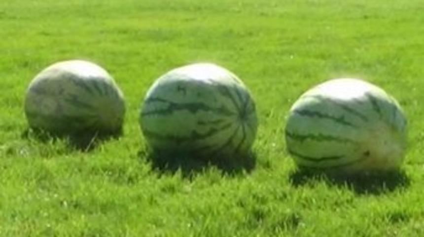 Zam Şampiyonu Karpuz Oldu