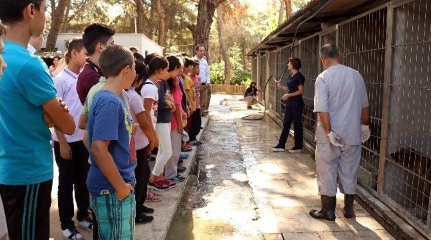 &Ouml;ğrencilerden Sahipsiz Hayvan Barınağına Ziyaret