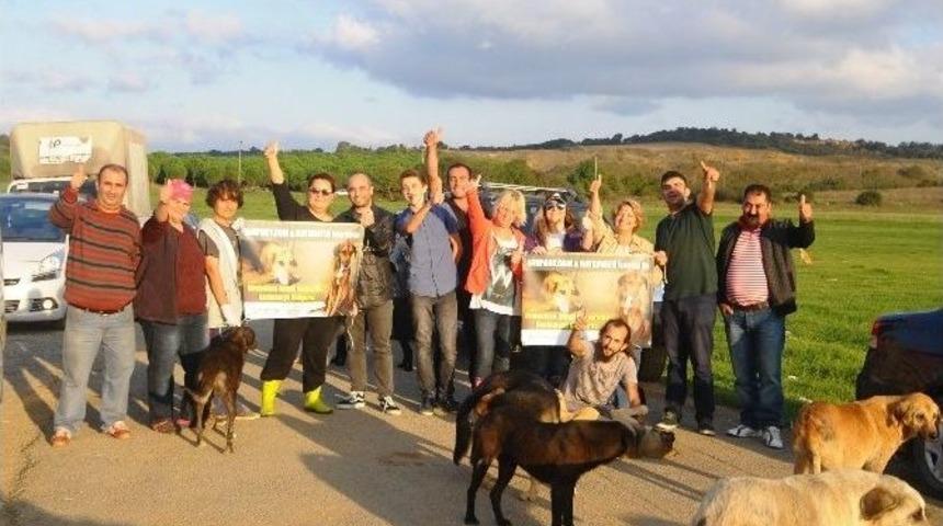 Tavport.com&rsquo;dan Sokak Hayvanlarına Destek