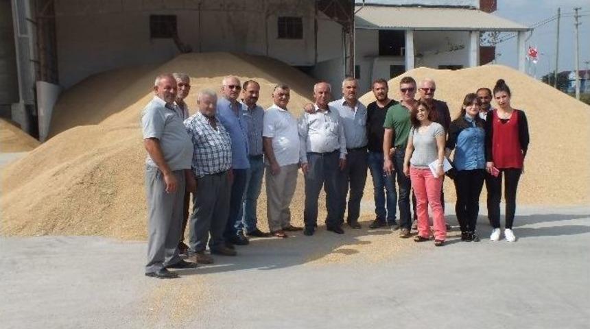 Bafra Ziraat Odası &Ccedil;eltik Fabrikalarını Ziyaret Etti