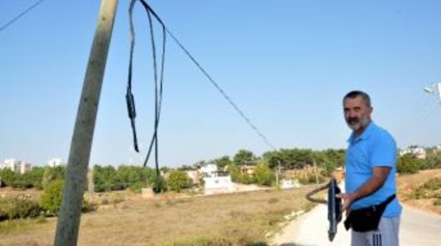 G&uuml;peg&uuml;nd&uuml;z Hırsızlık