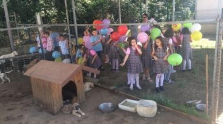 Miniklerden Sevimli Dostlara Ziyaret