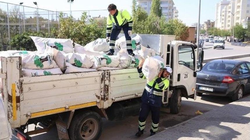 Şehitkamil&rsquo;de Budanan Ağa&ccedil;lar Yakacak Oluyor