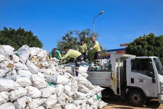 Şehitkamil’de Budanan Ağaçlar Yakacak Oluyor