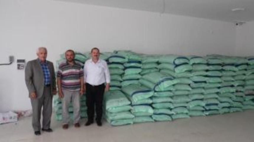 Sertifikalı Tohum Satışlarına Yoğun İlgi