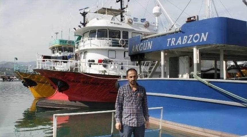 Palamut Olmayınca Hamsiye Yöneldiler