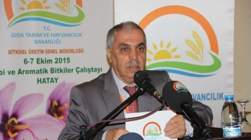 Hatay&rsquo;da Tıbbi Ve Aromatik Bitkiler &Ccedil;alıştayı D&uuml;zendi
