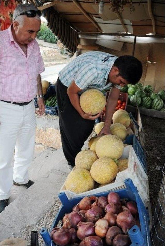 (özel Haber) Çiftçinin Yeni Formülü “tarla Başı Satış”