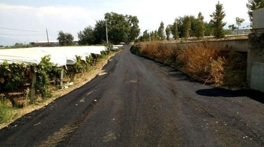 Okul Yolu &Ccedil;amurdan Kurtuldu