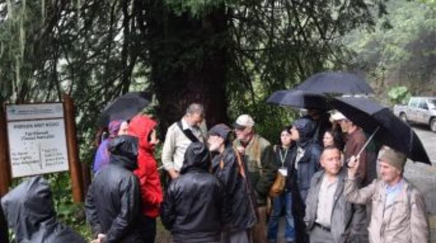 &Ccedil;alıştay Sona Erdi