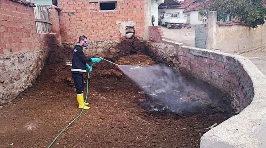 Karesi&rsquo;de Haşereyle M&uuml;cadele