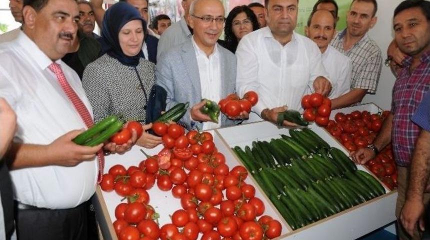 L&uuml;tfi Elvan: "g&uuml;bre Ve Yemde Artık Kdv Alınmayacak"