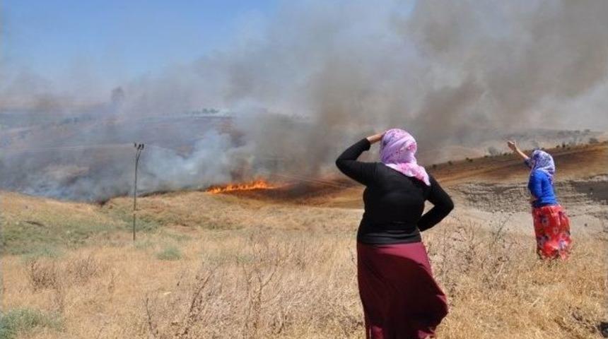 Anız Yakanlara Destekleme Primi Verilmeyecek