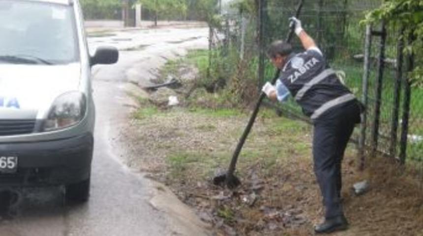 Kartepe Zabıtası Su Baskınlarına Karşı &Ouml;nlemlerini Aldı