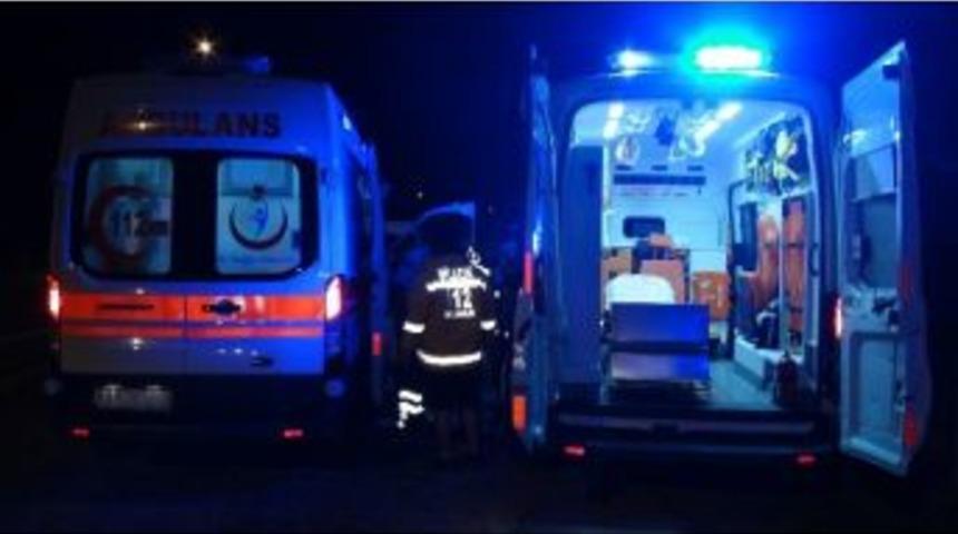 Yardıma Gitti, Kavak Ağacının Altında Kalarak Can Verdi