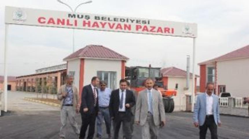 &Ccedil;olakoğlu, Canlı Hayvan Pazarını İnceledi