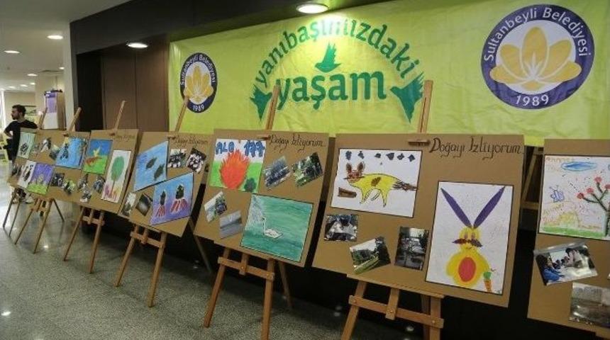 Sultanbeylili Gen&ccedil;ler&nbsp;&lsquo;yanıbaşımızdaki Yaşam&rsquo; Projesi İle Doğayı Farketti