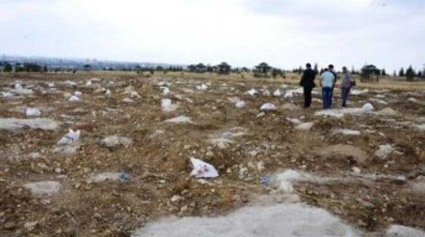 T&uuml;rk D&uuml;nyası K&uuml;lt&uuml;r Parkı&rsquo;nda &Ccedil;alışmalar Devam Ediyor