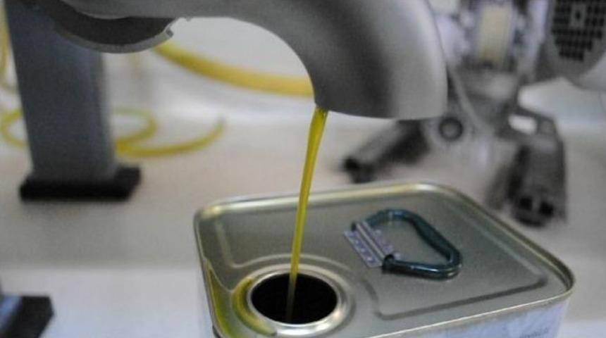 Muğla&rsquo;da İlk Zeytinyağı Sıkım Yapıldı