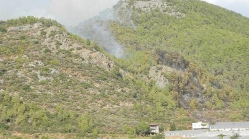 Mersin&rsquo;de 10 Hektar Kızıl&ccedil;am Ormanı Yandı