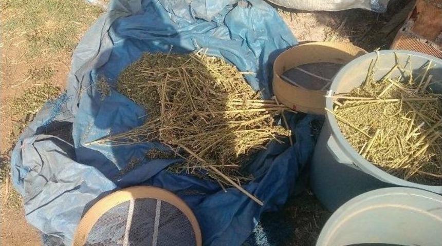 Diyarbakır&rsquo;da Uyuşturucu Operasyonu