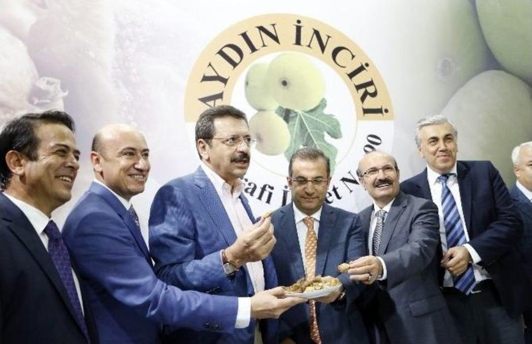 Ab Yolundaki Aydın İnciri Y&ouml;rex&rsquo;te