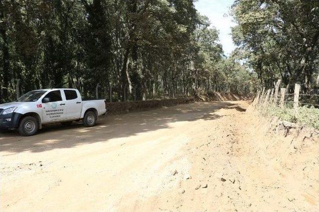 ‘çözülemez’ Denilen Sorunu Büyükşehir Çözdü