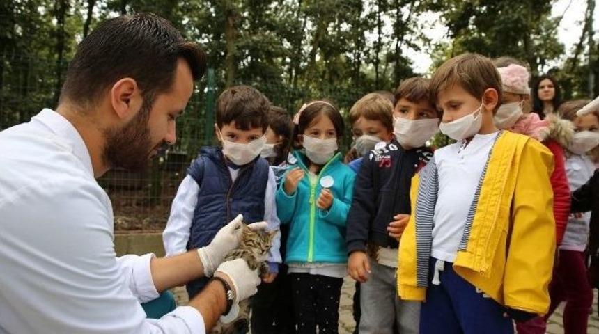Neşe Erberk Anaokulu &Ouml;ğrencilerinden Adapazarı Hayvan Barınağına Ziyaret