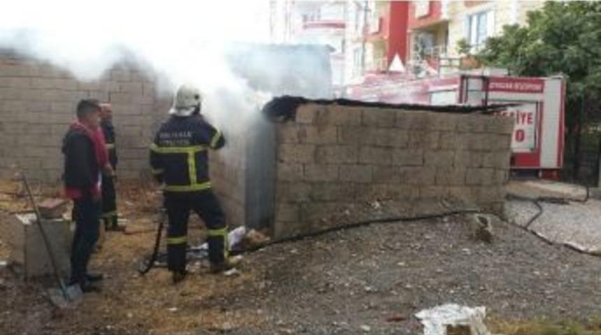 Çocuklar Odunluğu Yaktı