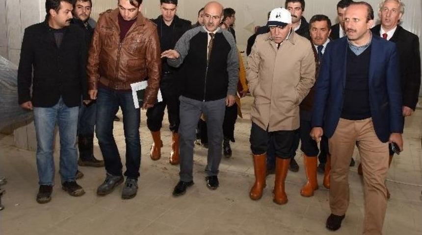 Başkan Sekmen, Et Ve Et &Uuml;r&uuml;nleri Entegre Tesisi&rsquo;ni Gezdi