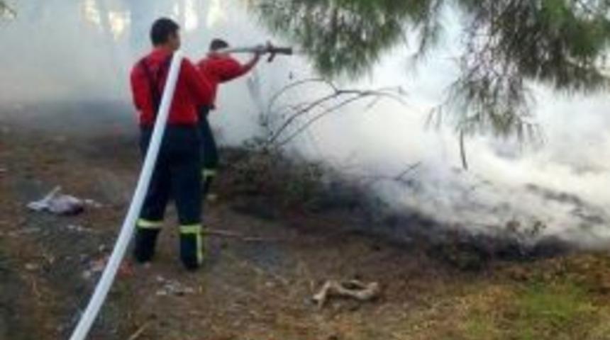 Savaştepe&rsquo;de Orman Yangını