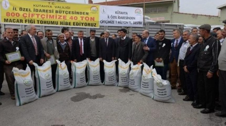 &Ccedil;ift&ccedil;ilere &rsquo;macar Fiği Tohumu&rsquo; Dağıtıldı