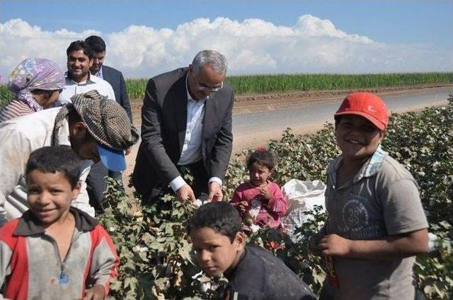 Süleyman Çelik Seçim Çalışmalarına Hız Verdi