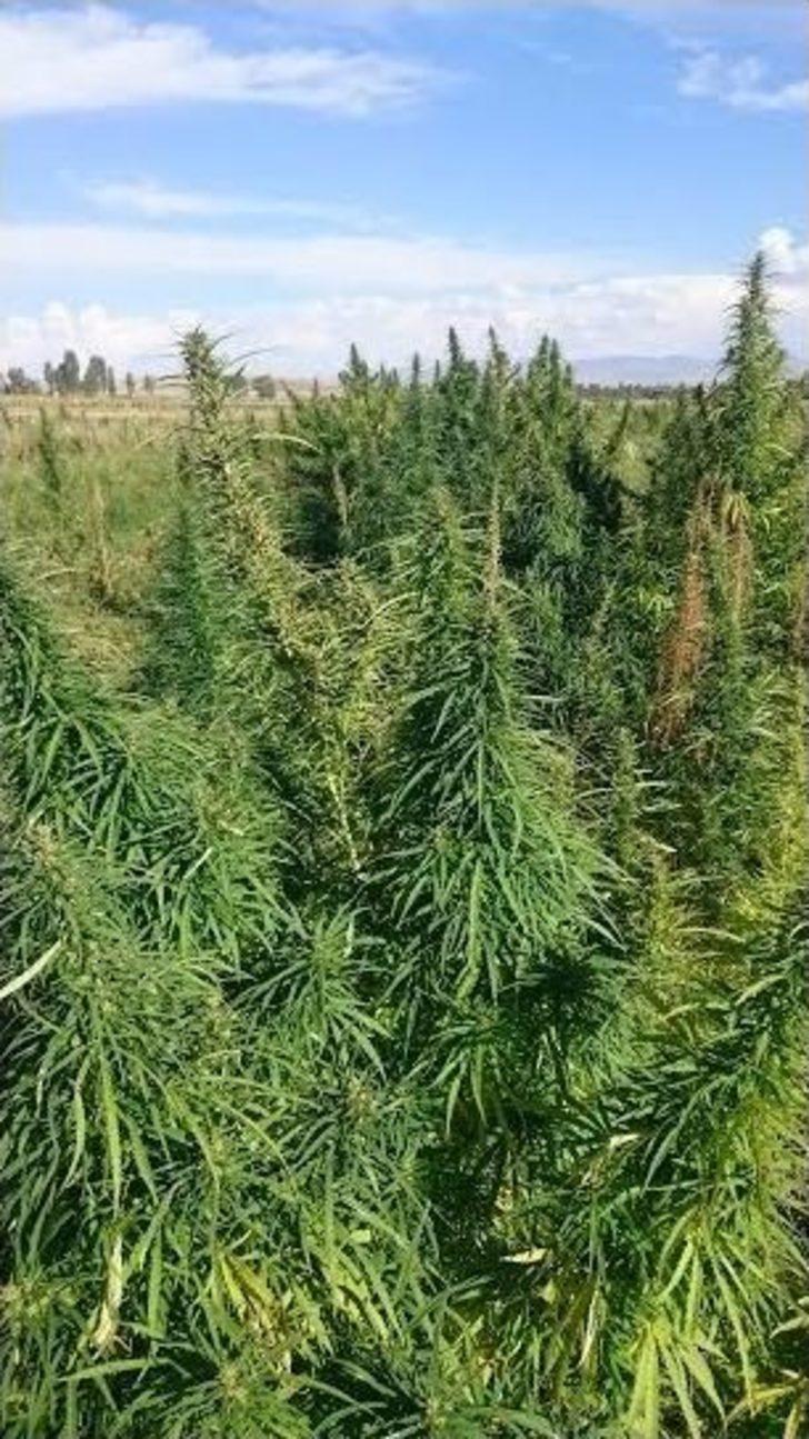 Jandarma’dan Kaçakçılara Geçit Yok G4