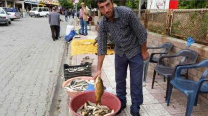 Kulp Balığı Tezgahtaki Yerini Aldı