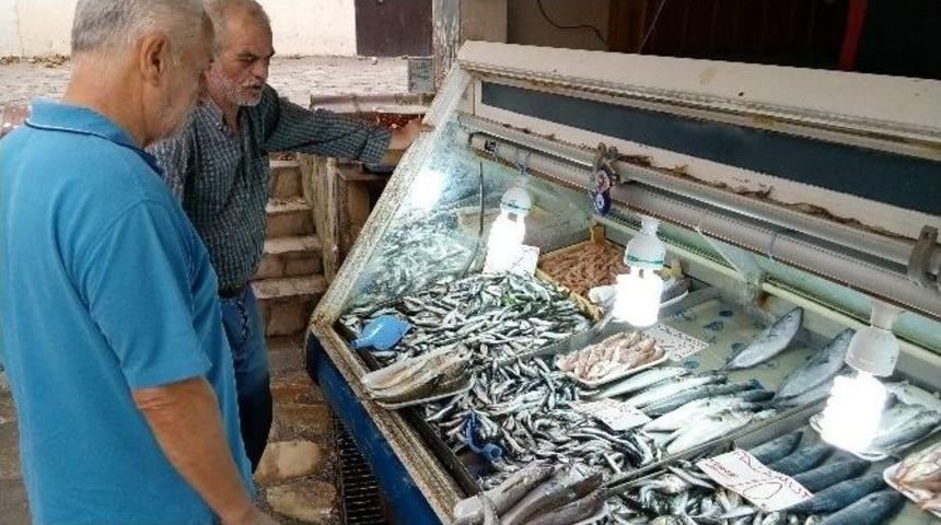 Balık Fiyatları Kırmızı Etle Yarışıyor
